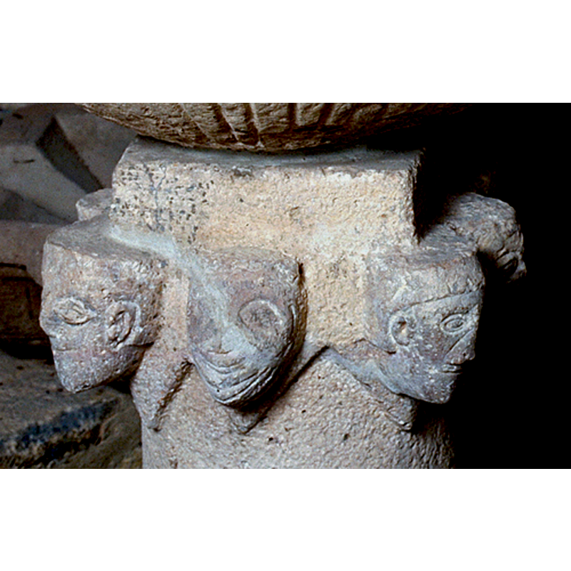around the upper part of the base stem, with varied types and expressions