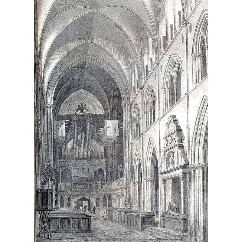 Source caption: "View of the Choir of St. Patricks Cathedral, Dublin"