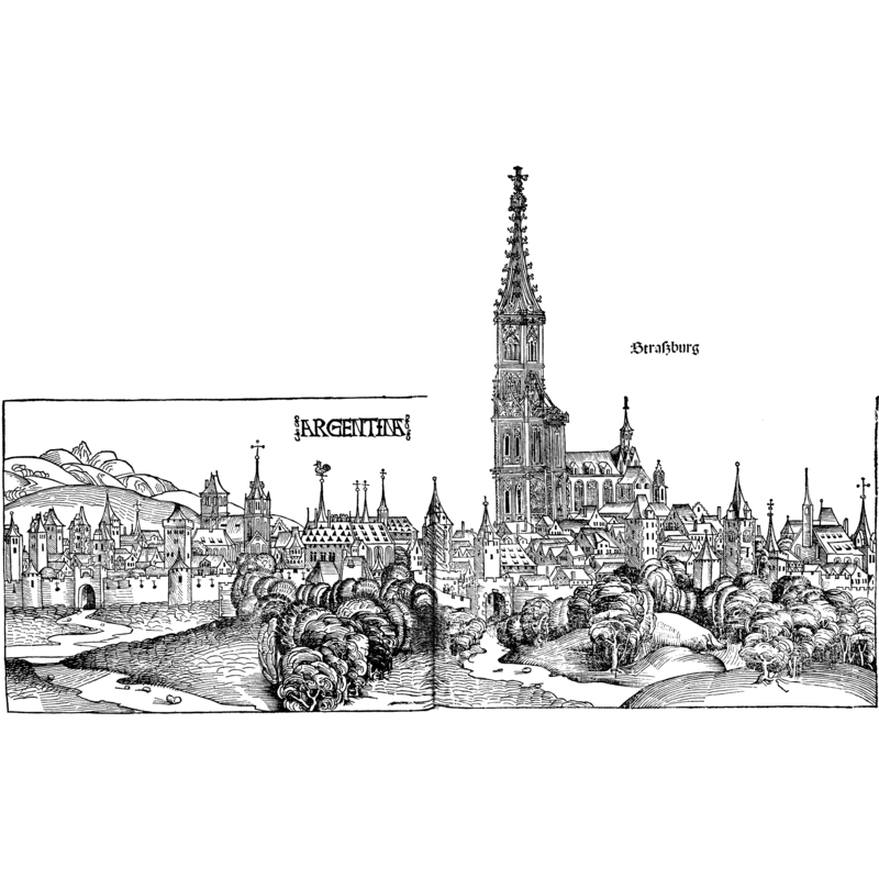 Source caption [summary]: "Woodcut [...] View of Strasbourg in France, around 1490. Drawn around 1490, published in 1493." [NB: "Argentorate" and  "Argentoratum" were the old Latin names for Strasburg]