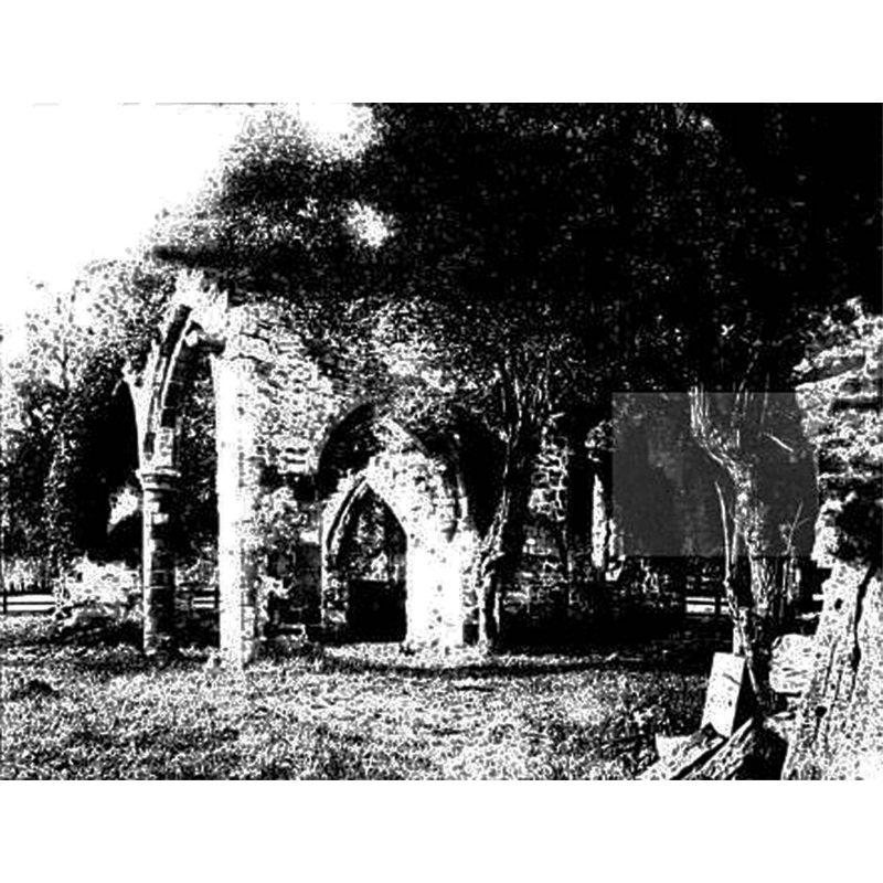 Source caption: "Part of the ruin of All Saints' parish church, Sockburn, County Durham, in 1894"