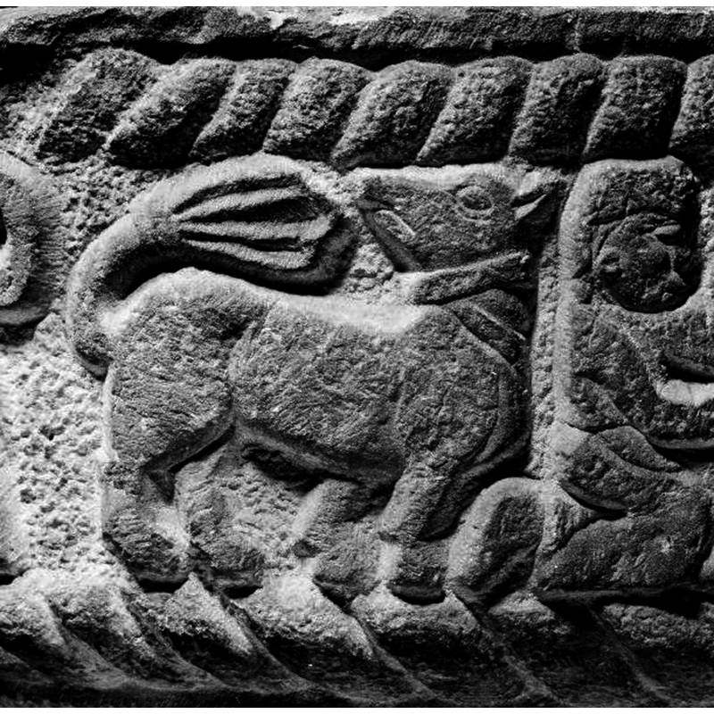 quadruped passant-regardant; despite the tail it looks more like a dog with a collar