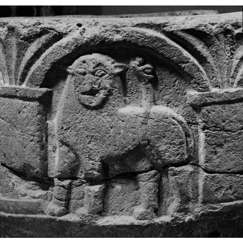 the lion seems to be totally uninterested and unconcerned in the belicose approach from the left