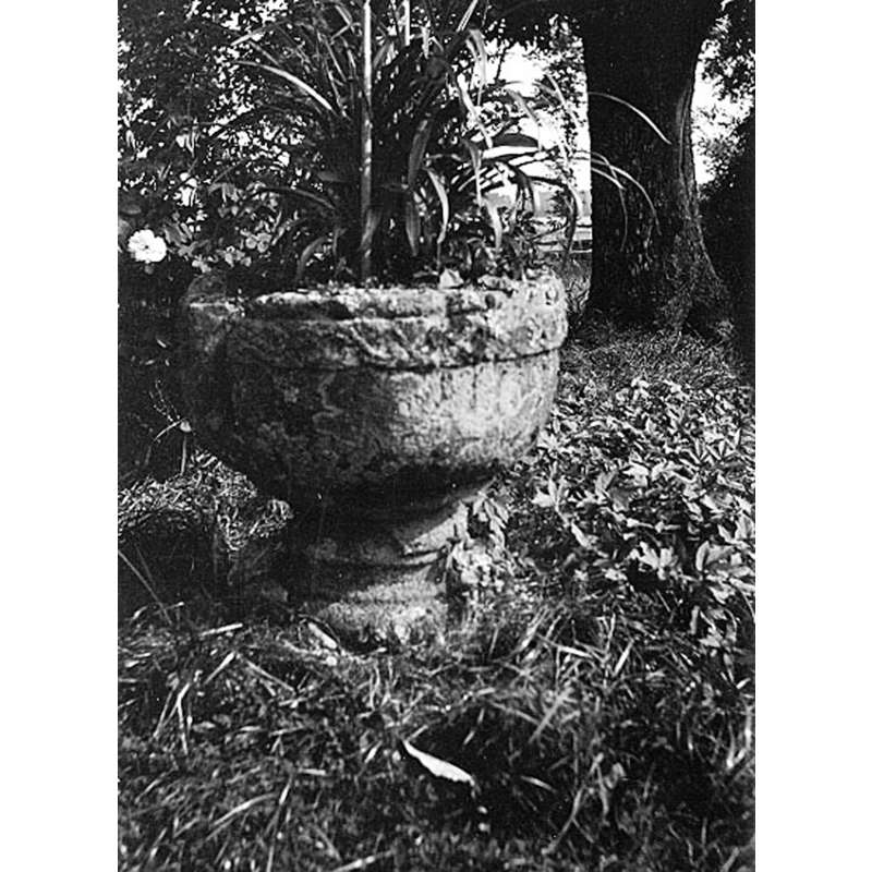 the font almost lost in the jungle outside in 1912