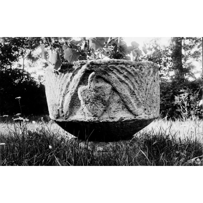 Source caption: "Skånings-Åsaka kyrka [...] Dopfunt, sandsten, 1100-talet. Vid fototillfället använd som blomkruka."