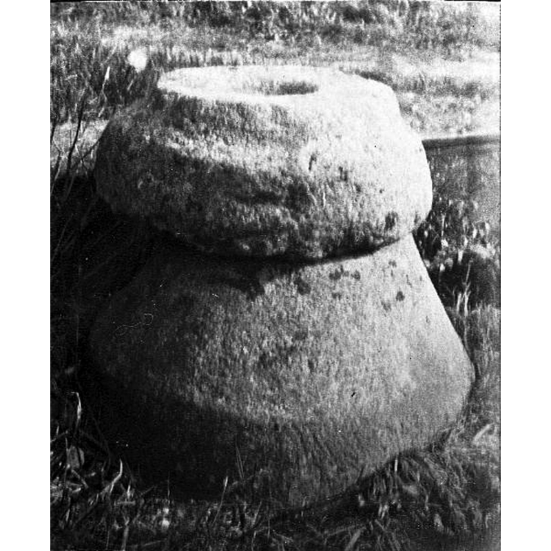 Main image for Long nr. Vara