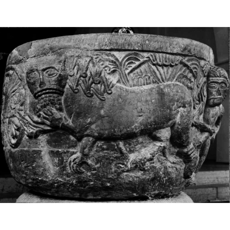 the lion, in a passant-gardant pose appears to be eating a bunch of arum or grapes