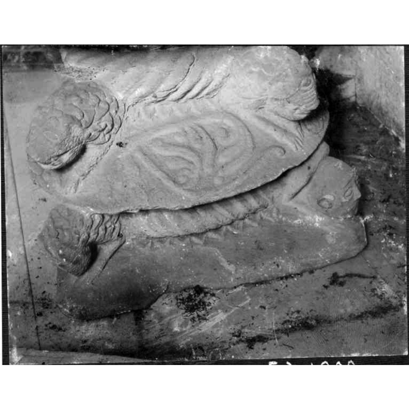 showing on right, bottom level, the only human among all the heads on the base