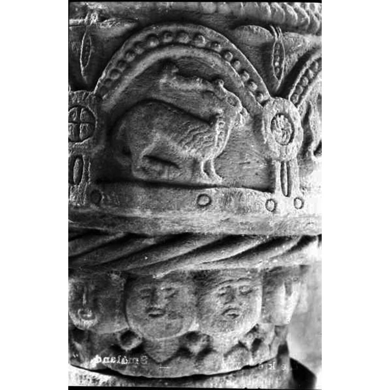 it is difficult to ascertain whether the shape issuing from its mouth is a foliated tongue or prey