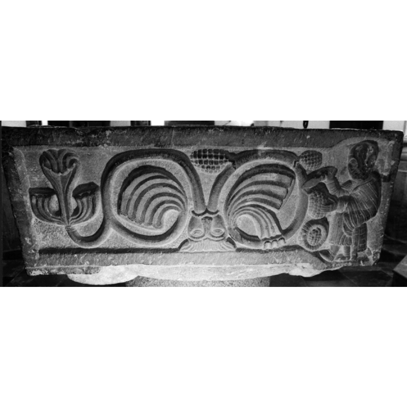 the right side of the vine has fruit on it, while the left side has none