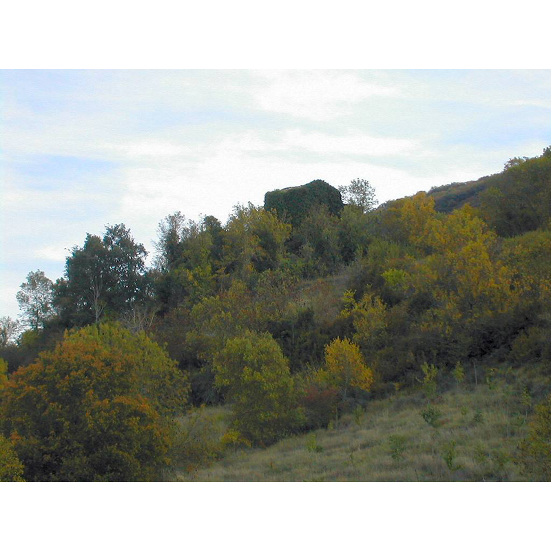 church on a hill