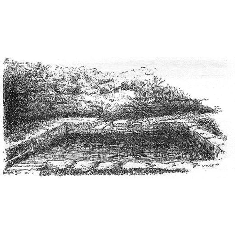 Main image for Gwemaffield
