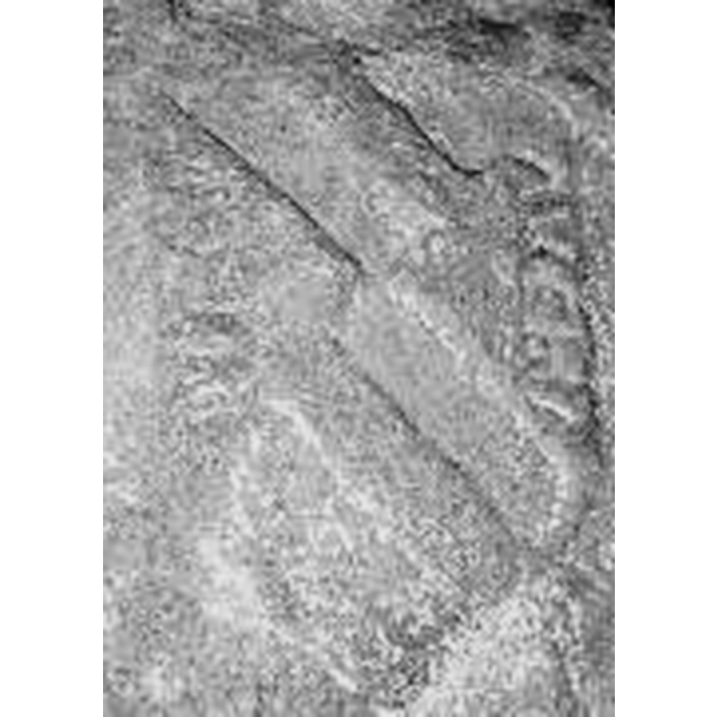 Main image for Tendilla No. 2