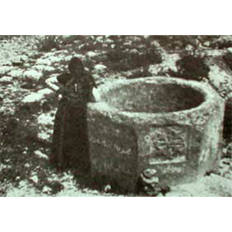 Main image for Tekoa / Taqua / Thekoa /  Teqoa / Teqo'a / Teqo 'ah / Thecue /  Thequ'a / Theqo'a / Tekoah / Tequ'a / Tuqu'a / تقوع