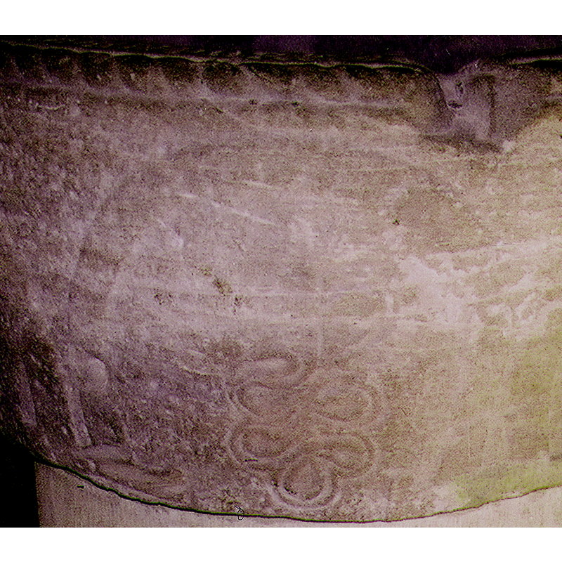 may represent a Tree-of-life motif, like the others