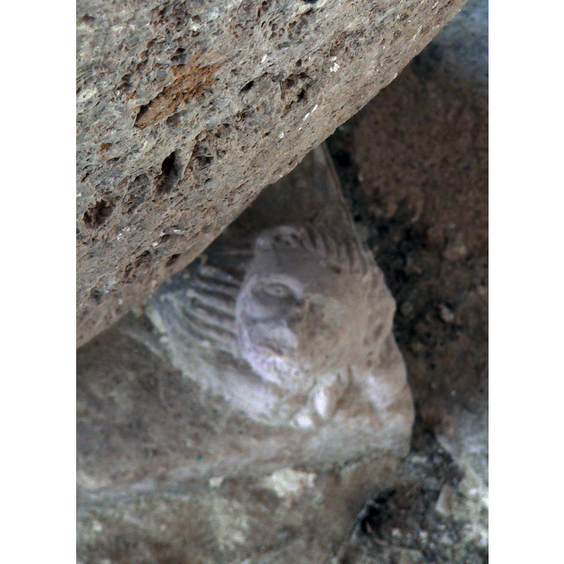 or, is it the fragment of a cherub?