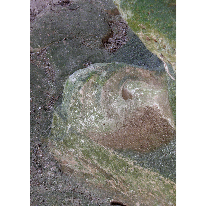 was this another human head originally?