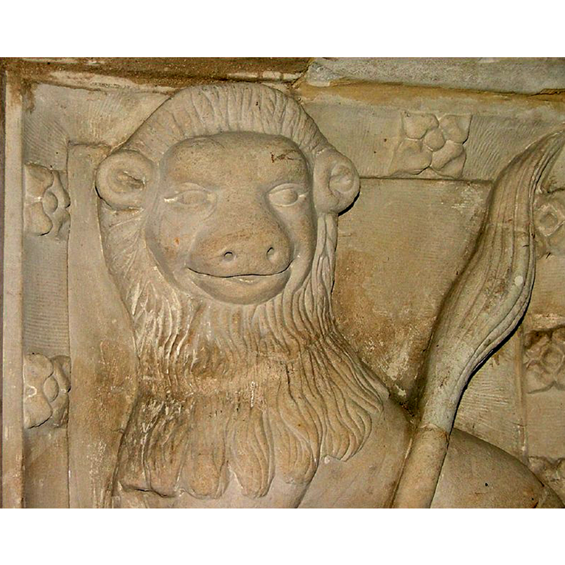 one of the 'friendly' lions