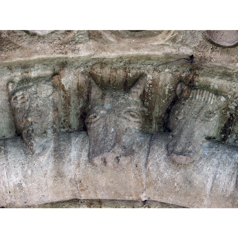 animal heads around the archivolt [cf. Iffley west portal, etc.]
