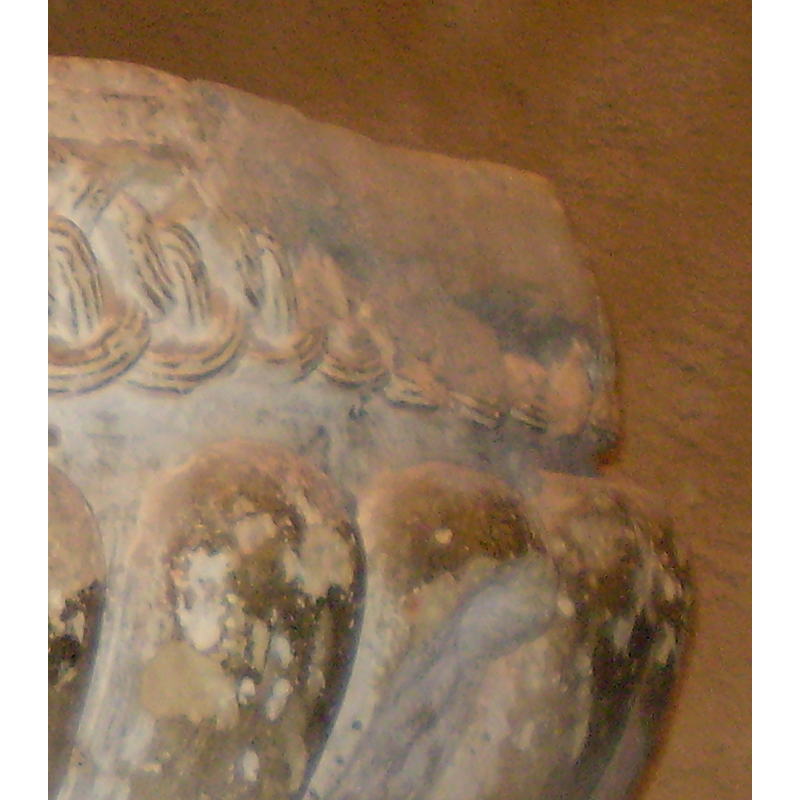 showing the damaged area