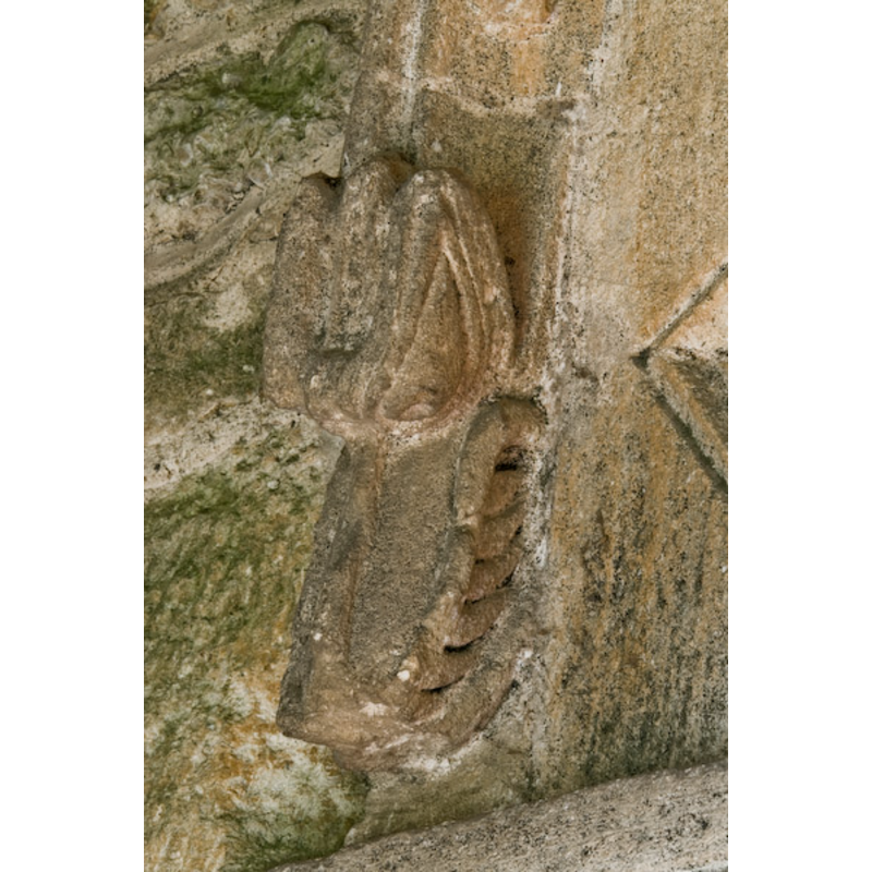 left side: dragon head