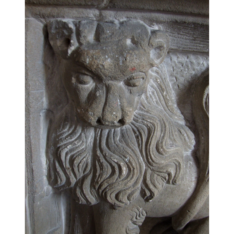 one of the lions