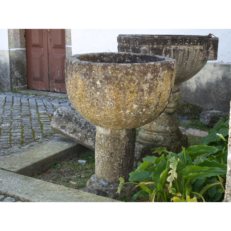 Main image for Chamoim No. 1