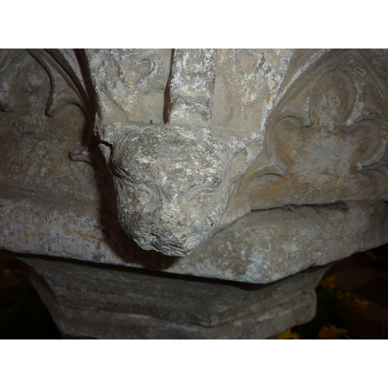 this one appears to be animal [cf. Font notes]