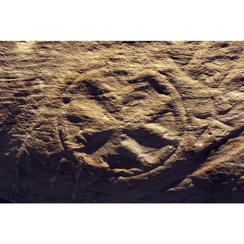 as exhibited in the Museo de Guadalajara, May 2010