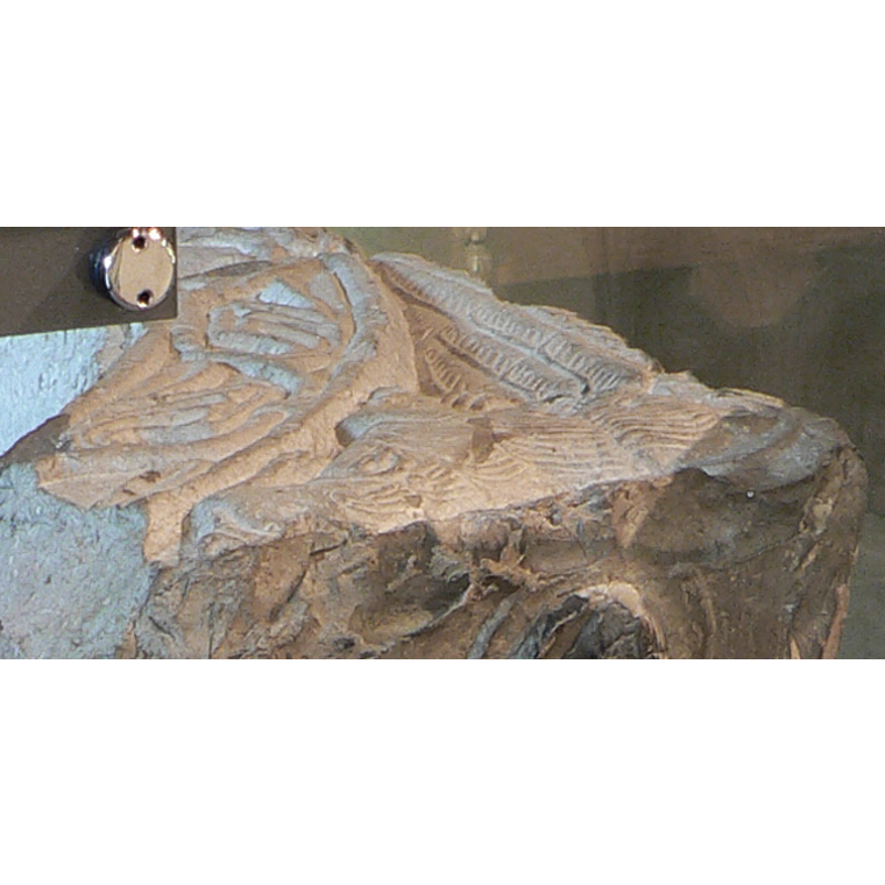 on the rim around the top of the inner basin well