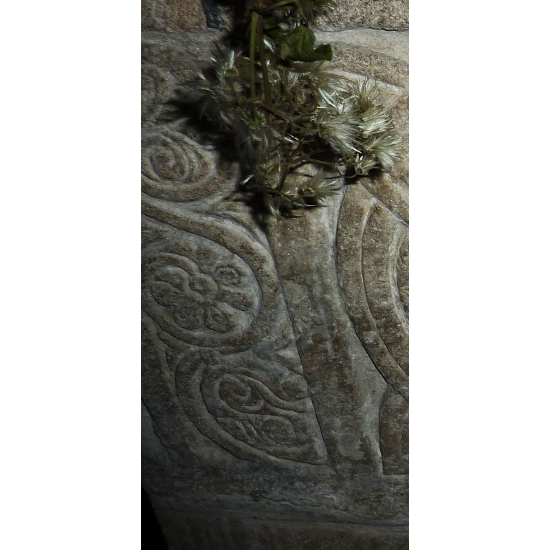 on the left of the east side; scrolling vine with at least one flower; to the left of the tetragram