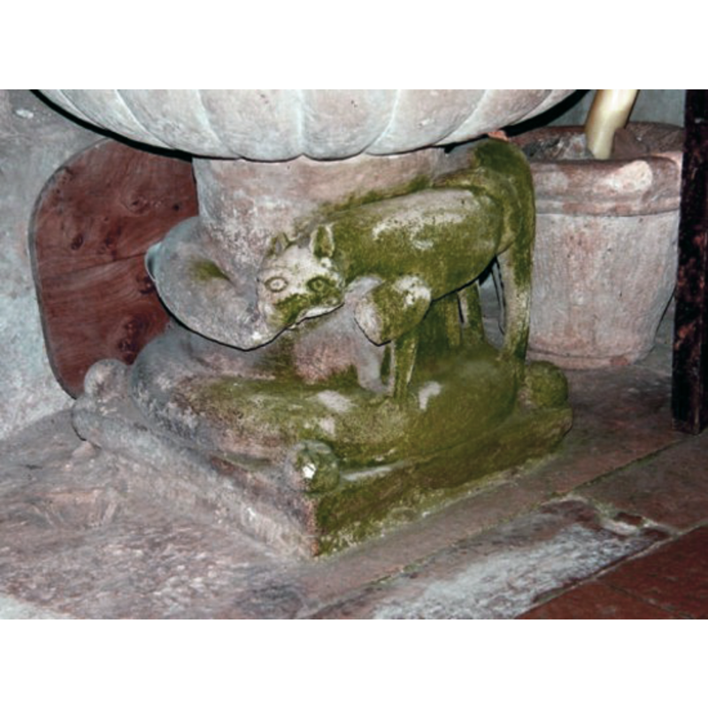 in this photograph the upper body of the snake -minus the missing part- can be discerned: it comes from behind the round stem of the font and is caught at the from in the lion's maw; unfortunately the neck of the snake has broken off and we only have its head against the shoulder of the lion remaining -- notice also the modern wooden cover standing behind the font
