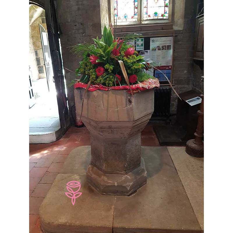 Main image for Methley / Medelai