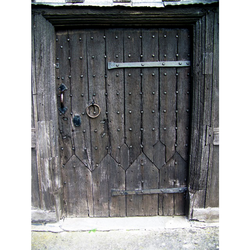 the 15th-century (?) door