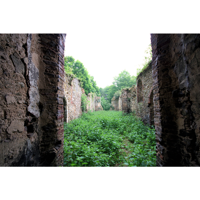 the ruins of old St. Mary's