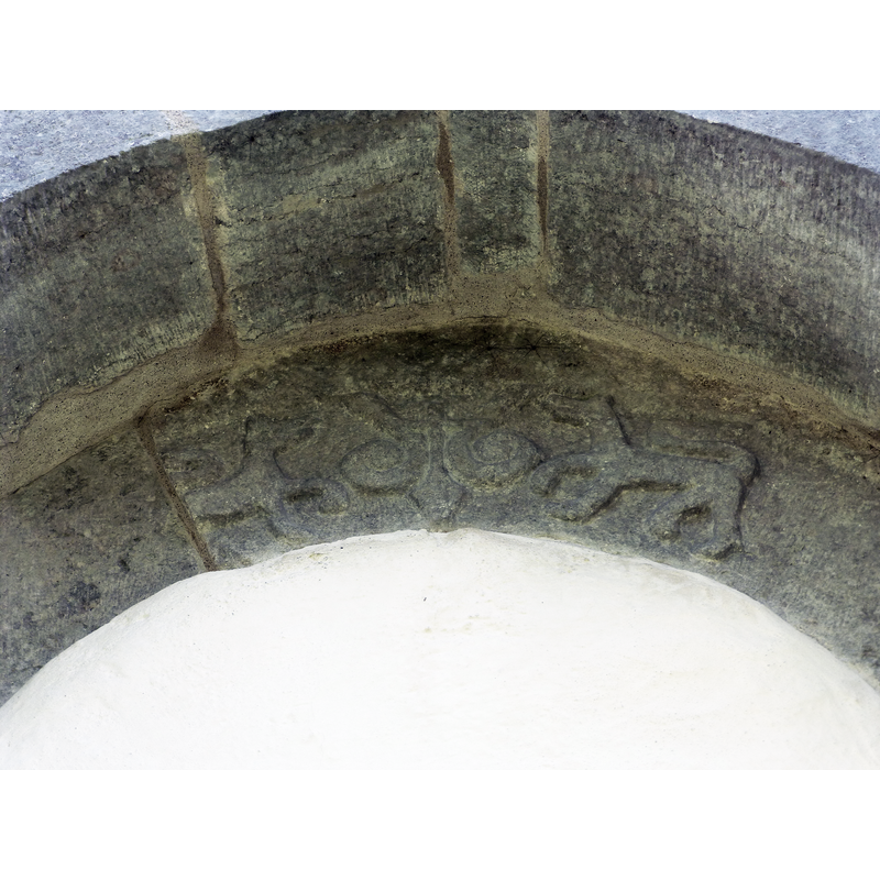 a pair of facing lions at the sides of an acanthus (?) plant
