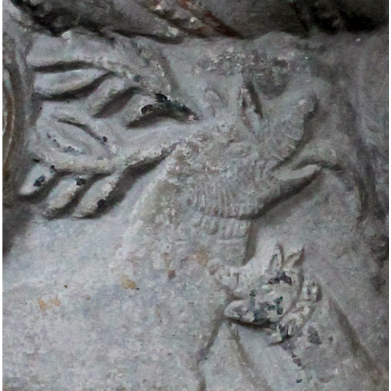the dog is a domestic hunting canine, collared