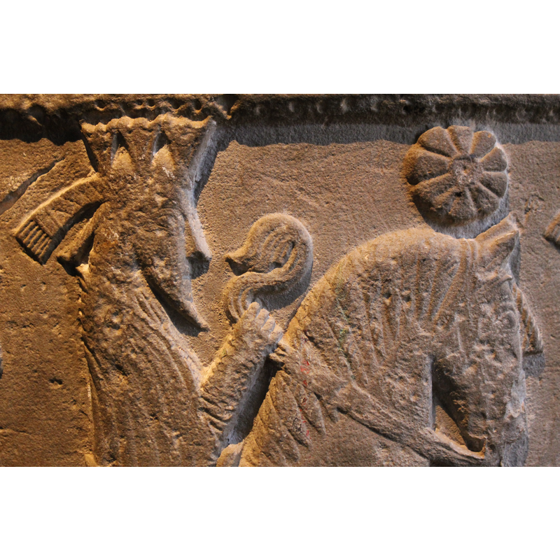 detail of the first Magus; guiding star above the horse's head