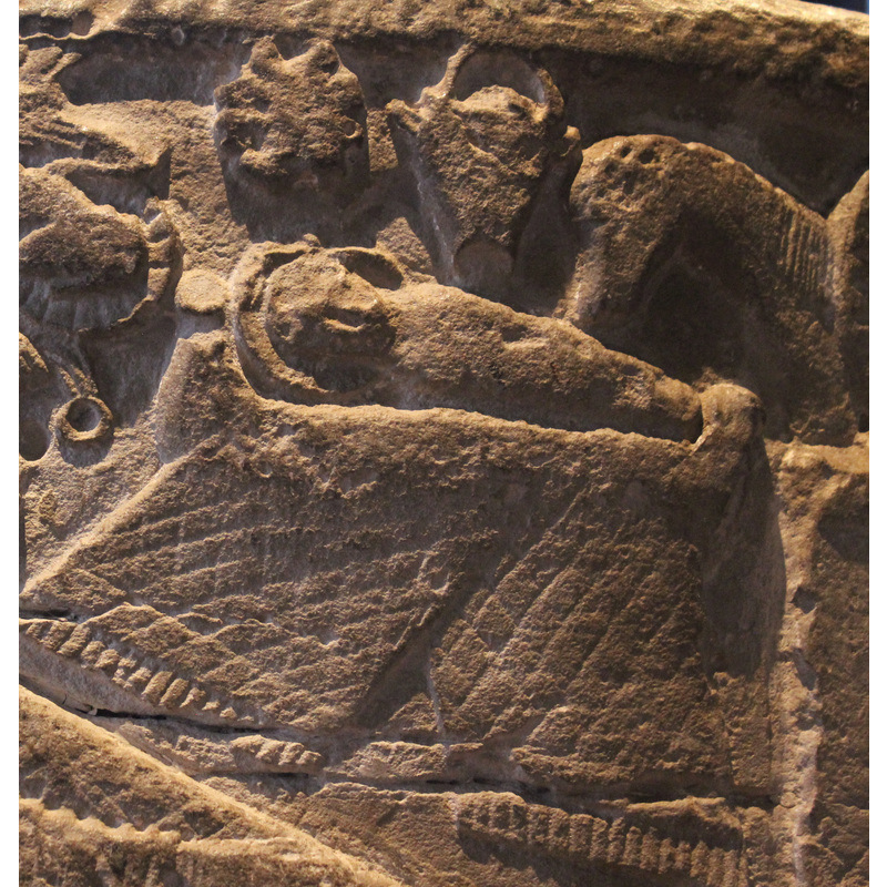 haloed Christ Child swathed on the manger; luxurious bed-spread; star; realistic looking ox but the mule's head looks like a goose's