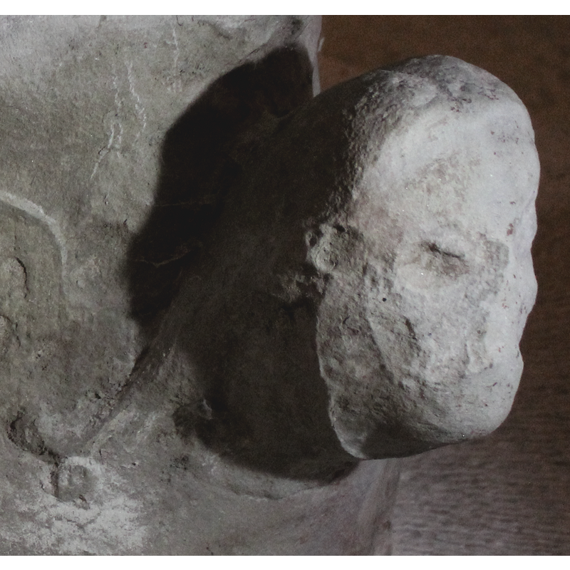 left side view, showing the damage to the face