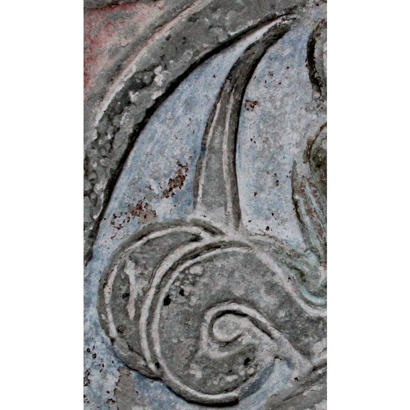 the coiled tail