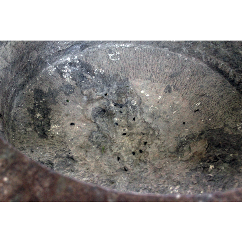 many dead insects but no apparent drain hole in it