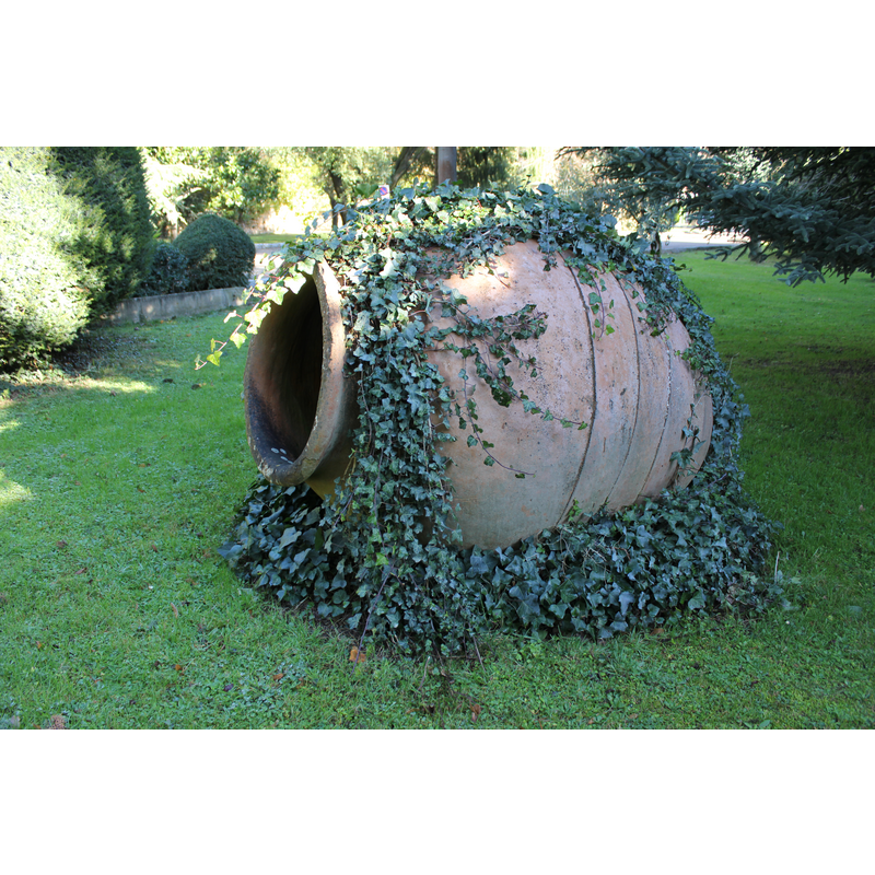 the extramural gardens