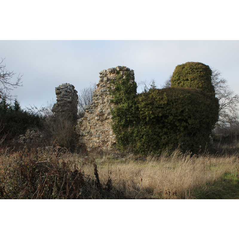 ruins of the old monastery and church