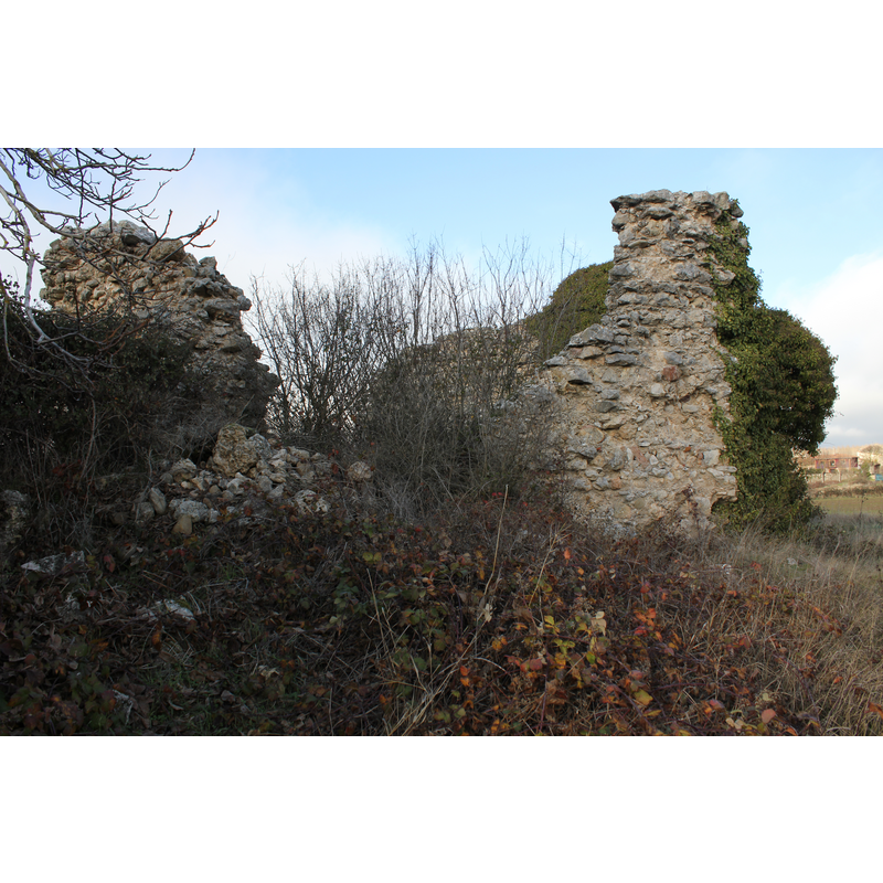 ruins of the old monastery and church