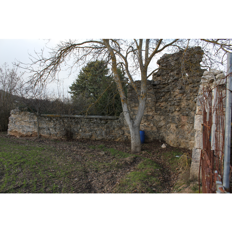 ruins of the old monastery and church