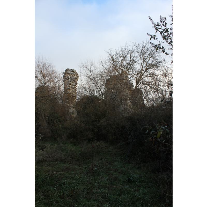 ruins of the old monastery