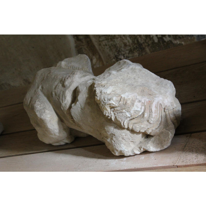 sculptural remain -a lion- now kept in a room of the former abbey, used as lapidarium