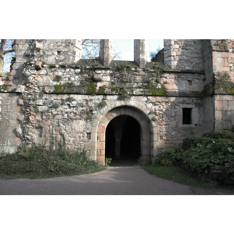 the abbey cellar