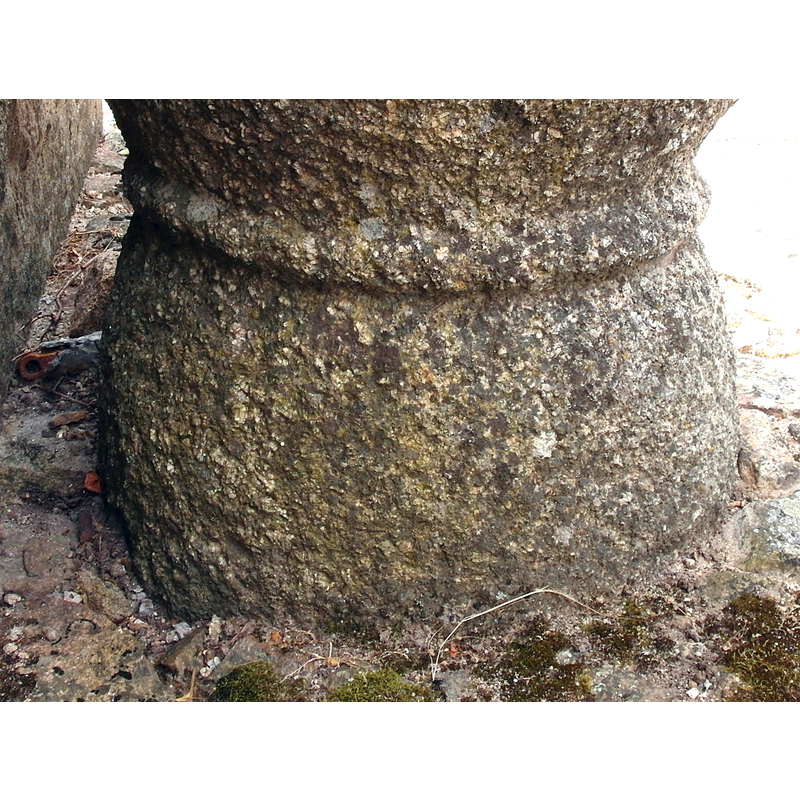 (rope moulding?)