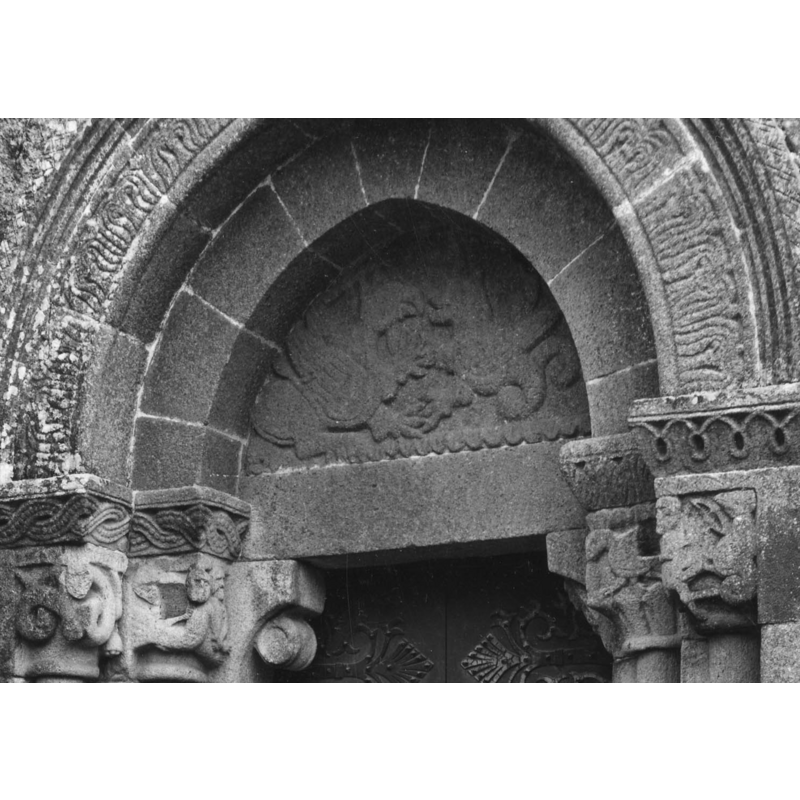 zoomachia: a dragon and a griffin?